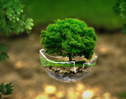 Ogólnopolska Konferencja „Od pola do stołu”