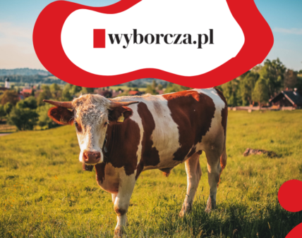 Co będziesz jadł, gdy przyjdzie Zielony Ład?