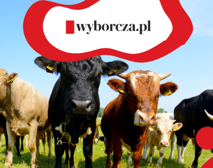 Szykują się nowe regulacje unijne dla poprawy dobrostanu zwierząt