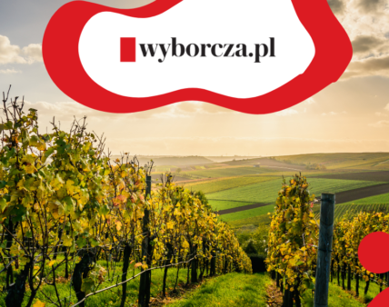 Węglowy posmak wina