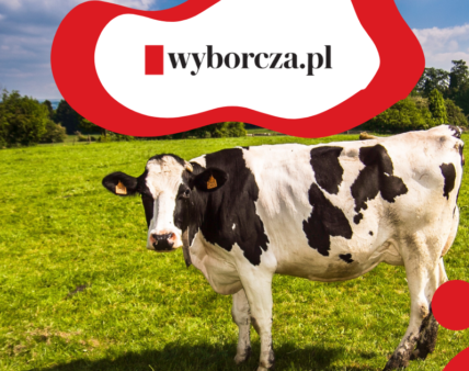 Wyzwania dla branży mleczarskiej