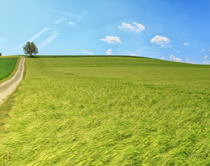 Odstępstwa od zasad produkcji ekologicznej