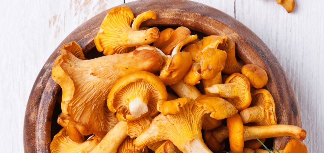 GIJHARS opublikował polskie tłumaczenie normy Kodeksu Żywnościowego dla kurek (pieprzników)