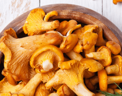 GIJHARS opublikował polskie tłumaczenie normy Kodeksu Żywnościowego dla kurek (pieprzników)