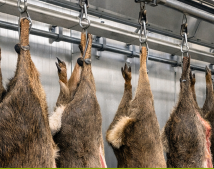 Opłata za nadzór weterynaryjny. Definicja „mięsa”