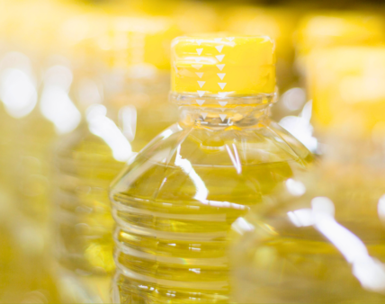 Oleje roślinne. Wyniki kontroli IJHARS