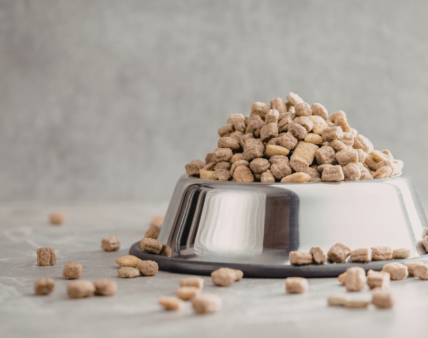 Karma dla psów i kotów pod lupą JIHARS