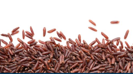 Monakolina – jednak zakazana? Projekt zmian przepisów UE