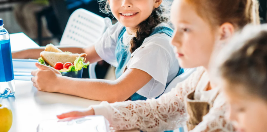 Program dla szkół – jak prawo wspiera zdrowe nawyki żywieniowe?